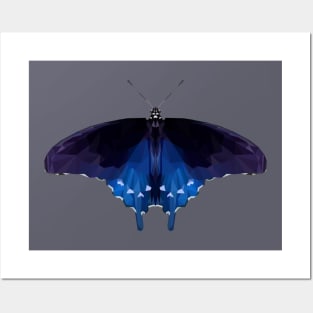 Pipevine swallowtail Posters and Art